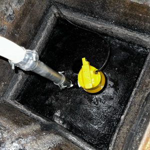 WhatsApp Image 2024-02-09 at 16.57.52